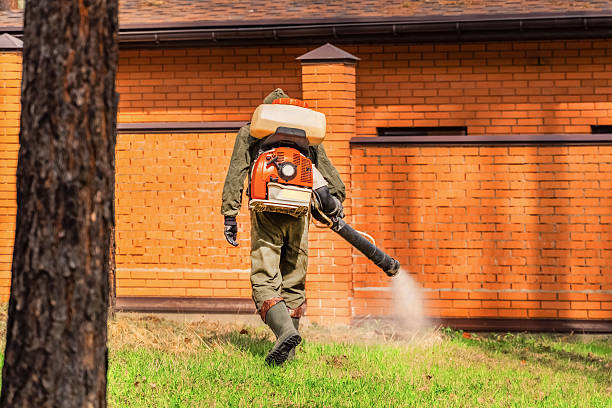 Bed Bug Clearance Verification and Documentation in Radcliff